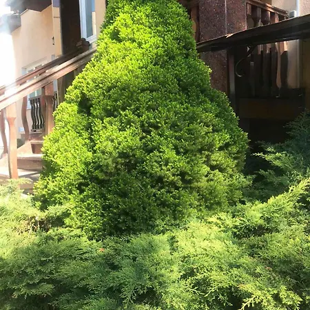 レッド ストーン ホテル トラスコヴェッツ