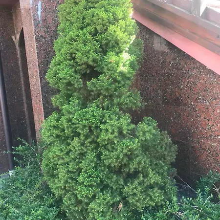 ホテル レッド ストーン トラスコヴェッツ