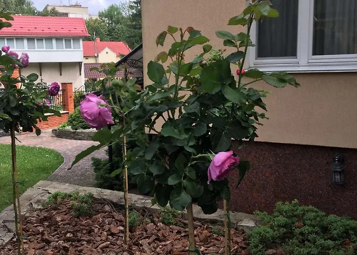 Red Stone Отель